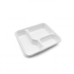 Bagasse Tray-3compt