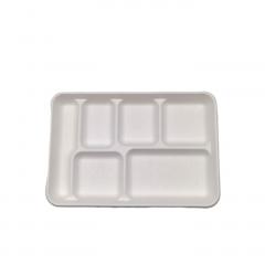 Bagasse Tray 6 compt