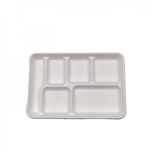 Bagasse Tray 6 compt